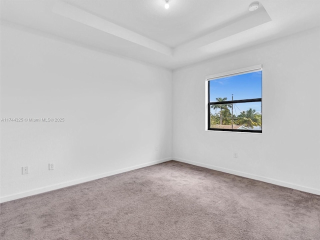 carpeted spare room featuring a raised ceiling