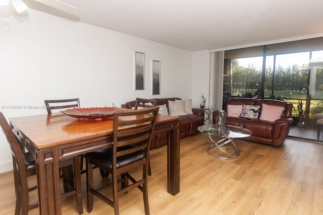 dining area with expansive windows, a textured ceiling, and light wood-type flooring