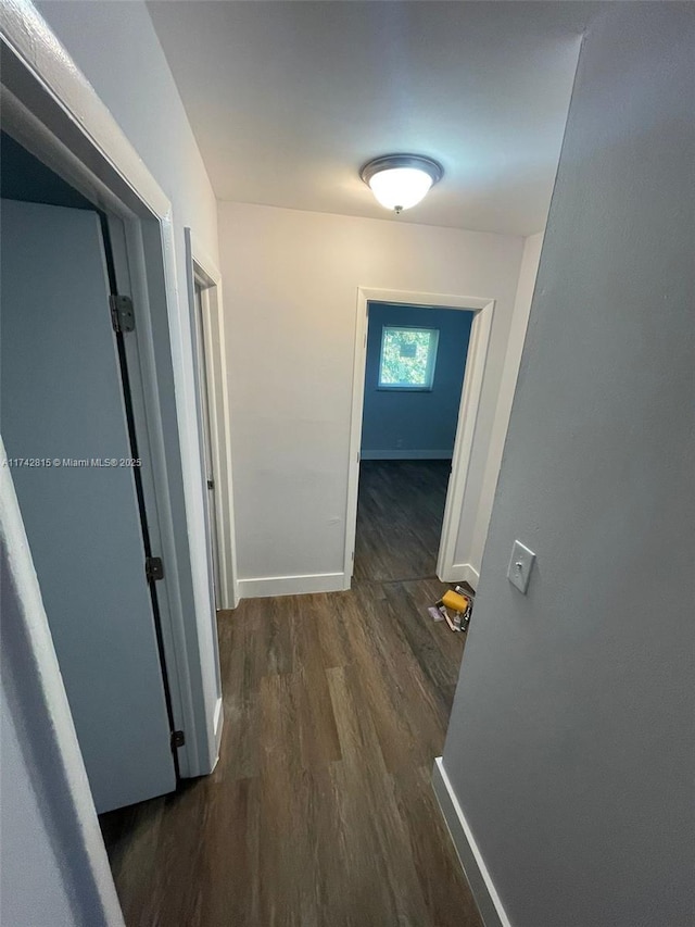 hall featuring dark wood-type flooring