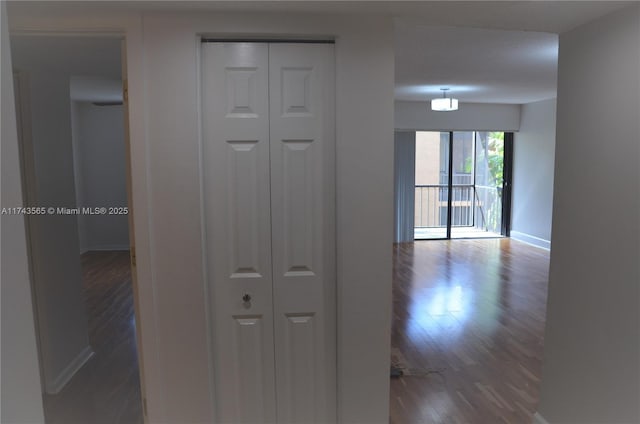 hallway featuring dark hardwood / wood-style floors