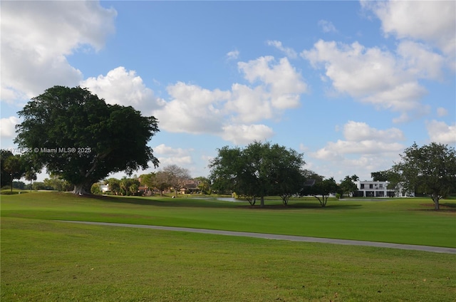 view of community featuring a yard