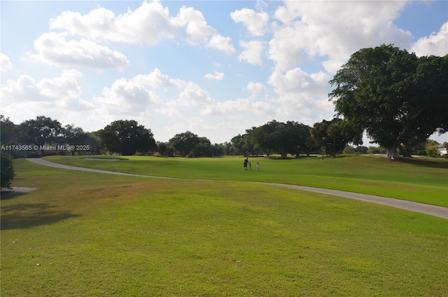 view of property's community featuring a yard