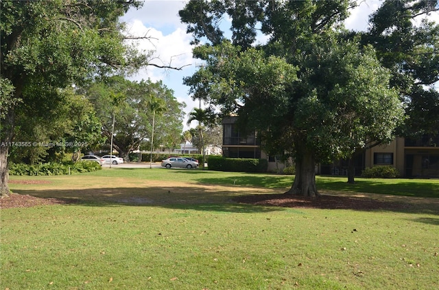 view of home's community with a lawn