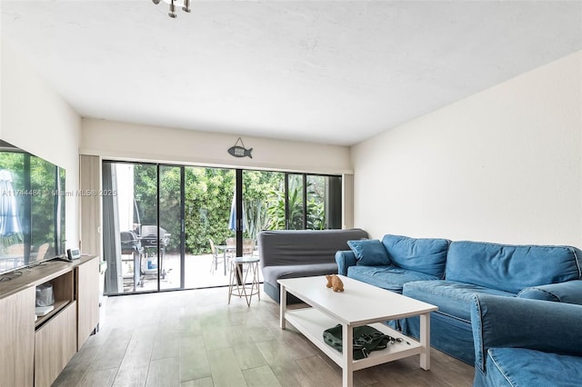 living room with plenty of natural light and light wood-type flooring