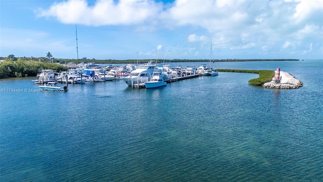 water view with a boat dock