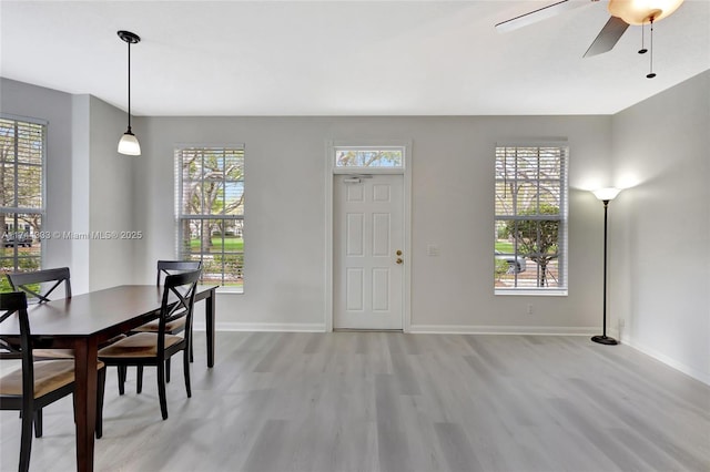 dining space with ceiling fan and light wood-type flooring