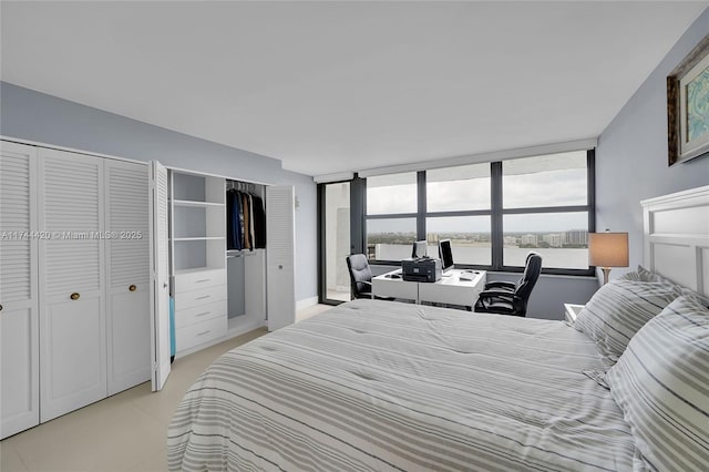 bedroom featuring multiple closets