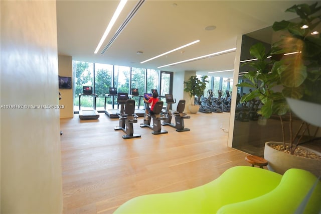 workout area featuring floor to ceiling windows and light wood-type flooring