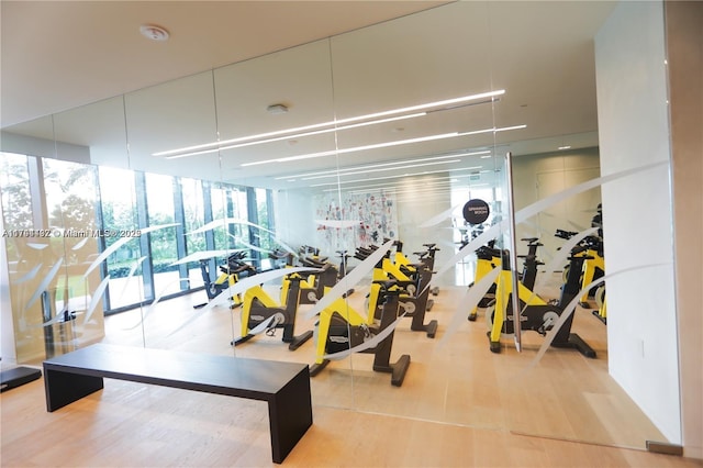 workout area featuring floor to ceiling windows and wood-type flooring