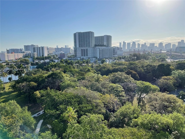 property's view of city