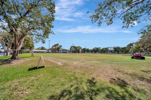 view of yard