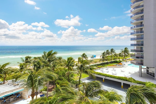 water view featuring a beach view