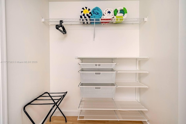 spacious closet with wood-type flooring