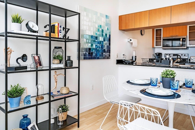 kitchen featuring light hardwood / wood-style flooring and appliances with stainless steel finishes