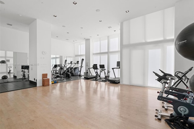 exercise room featuring a high ceiling and hardwood / wood-style floors