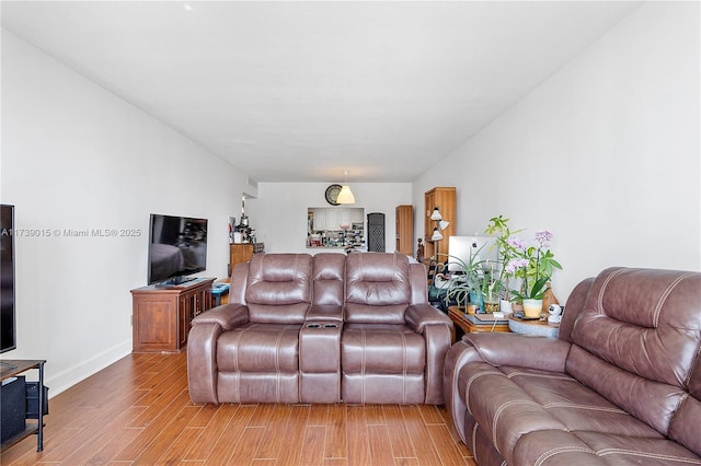 living room with hardwood / wood-style floors