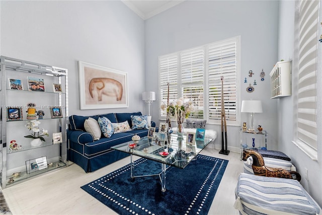 living room featuring crown molding