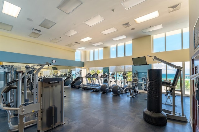 exercise room featuring a towering ceiling and a wealth of natural light