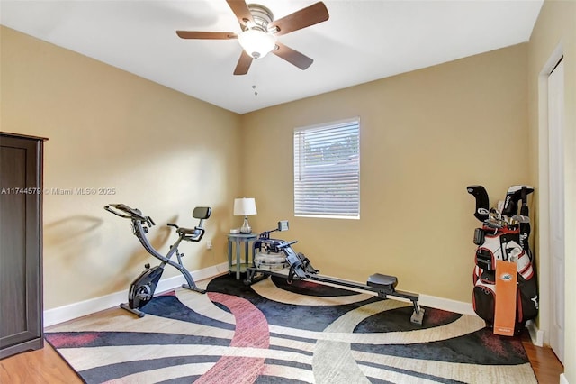 workout area featuring wood-type flooring and ceiling fan