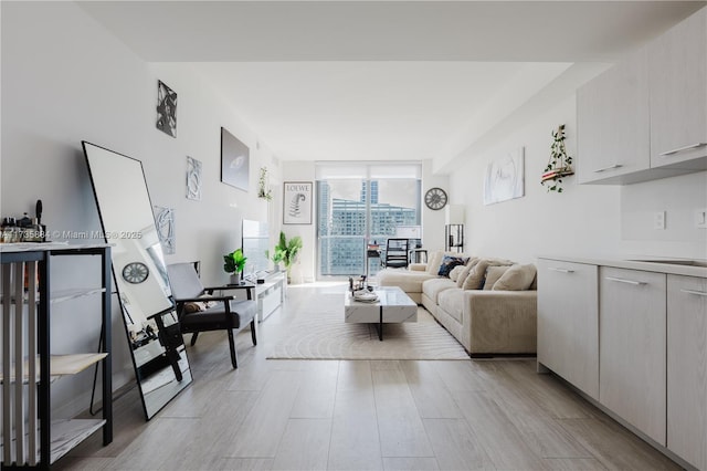 living room with floor to ceiling windows