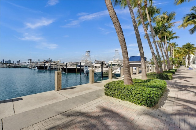 dock area with a water view