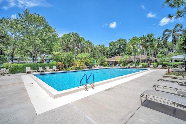 view of swimming pool with a patio area