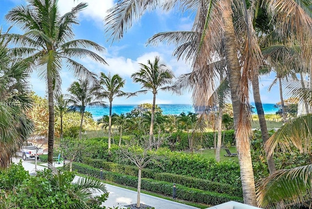 view of home's community with a water view