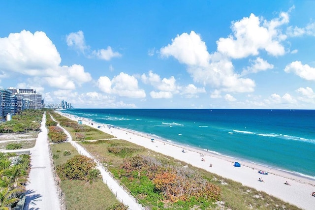 property view of water featuring a view of the beach