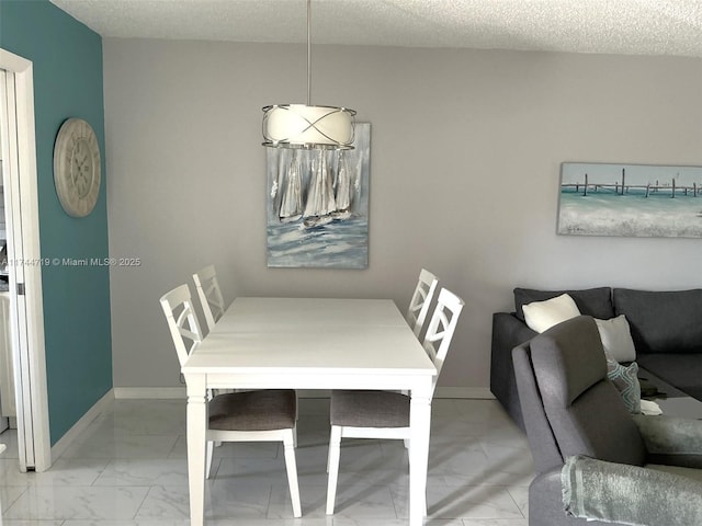 dining room featuring a textured ceiling