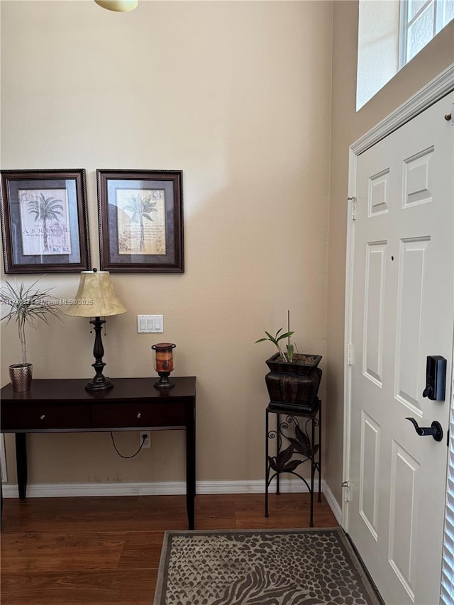 foyer entrance with dark wood-type flooring