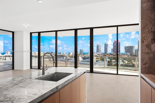 kitchen with sink, light hardwood / wood-style flooring, floor to ceiling windows, a wealth of natural light, and light stone countertops