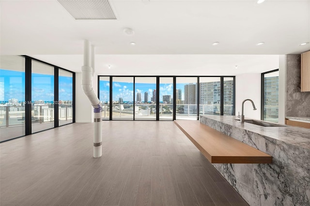 interior space with sink, a wall of windows, light hardwood / wood-style floors, and plenty of natural light