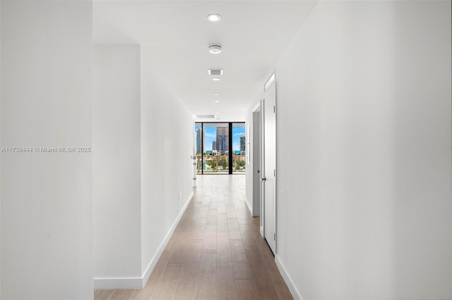 hallway with expansive windows and light hardwood / wood-style flooring