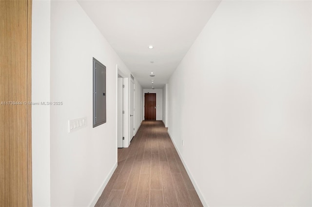 hallway with wood-type flooring and electric panel