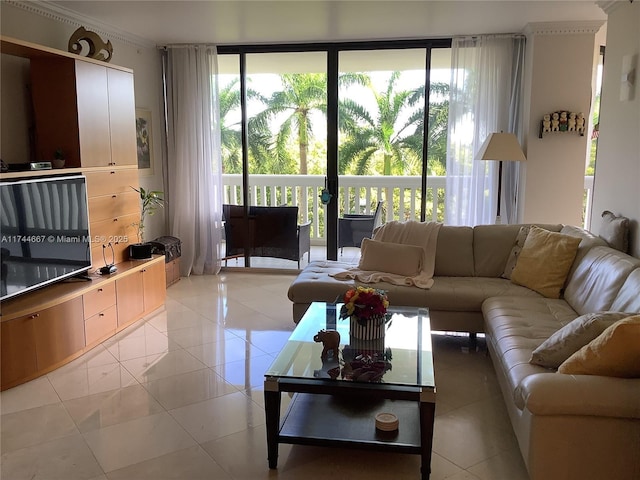 tiled living room with a healthy amount of sunlight