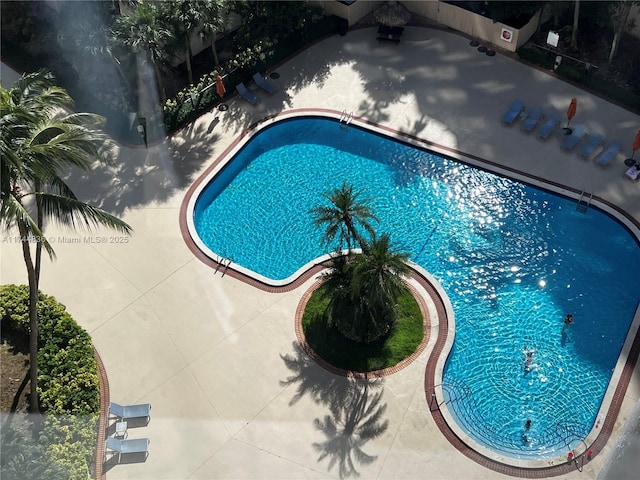 view of pool featuring a patio