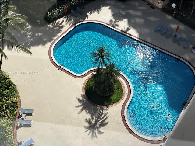 view of swimming pool with a patio area