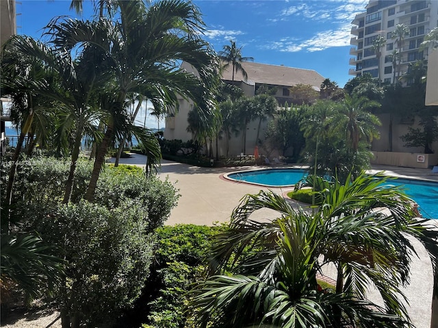 view of pool with a patio area