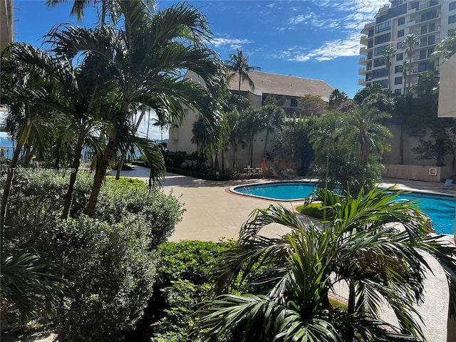 view of swimming pool featuring a patio area