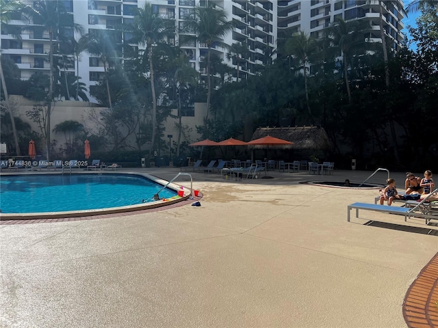 view of pool with a patio area