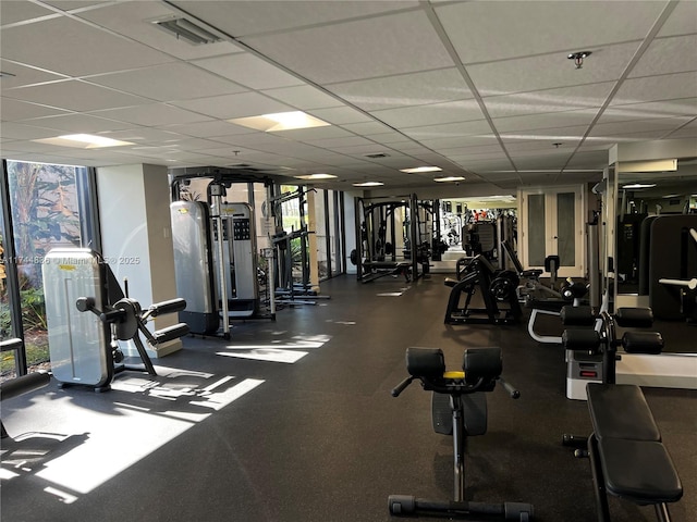 exercise room with a healthy amount of sunlight, a paneled ceiling, and a wall of windows