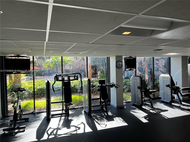 workout area featuring a drop ceiling, expansive windows, and a healthy amount of sunlight