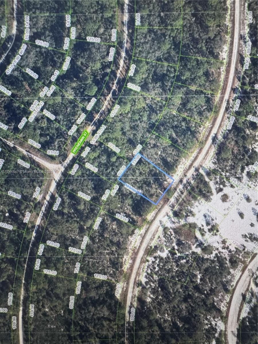 1 Dogwood, Lake Placid, FL 33852 - photo 1