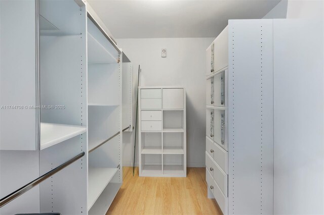 spacious closet featuring light hardwood / wood-style floors