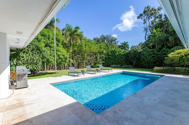 view of swimming pool featuring grilling area and a patio area