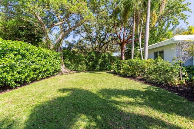 view of yard