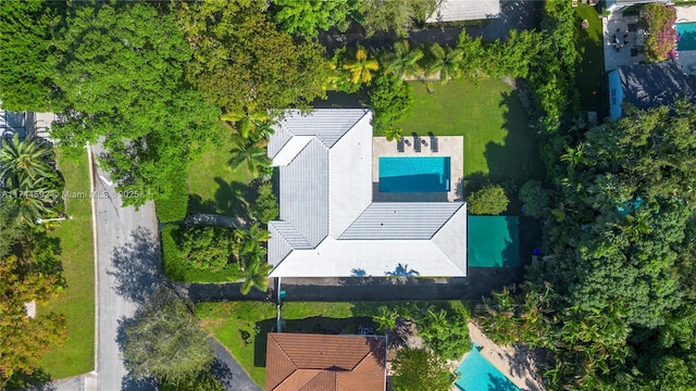 bird's eye view