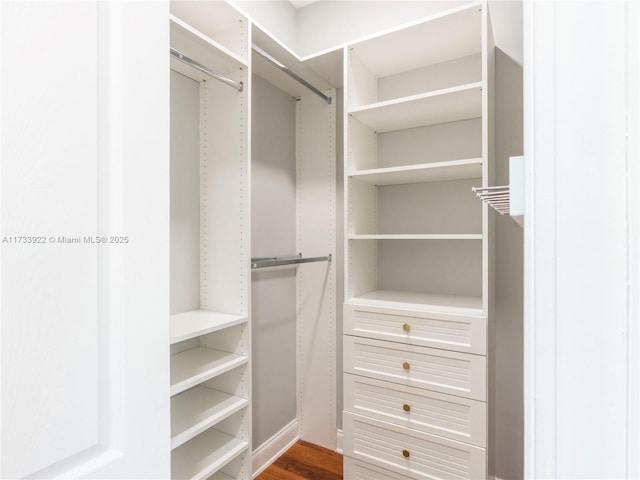 view of spacious closet