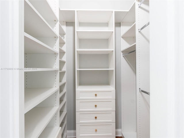 view of spacious closet