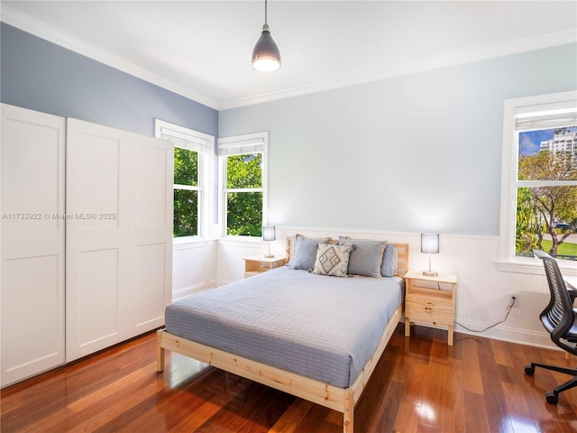 bedroom featuring ornamental molding, dark hardwood / wood-style floors, and multiple windows